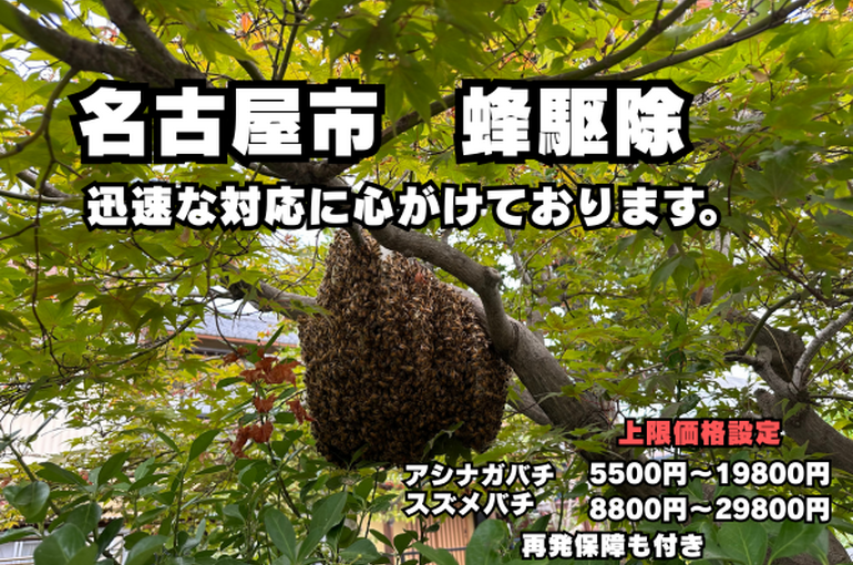 名古屋市 迅速対応
