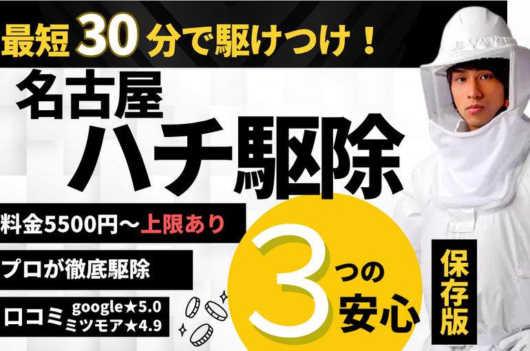 ハチ駆除　トップページ　サムネイル
