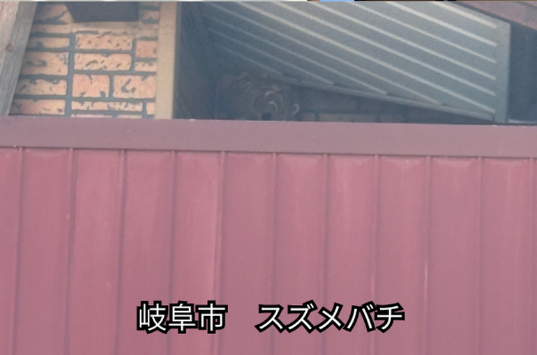 岐阜市　蜂の巣駆除