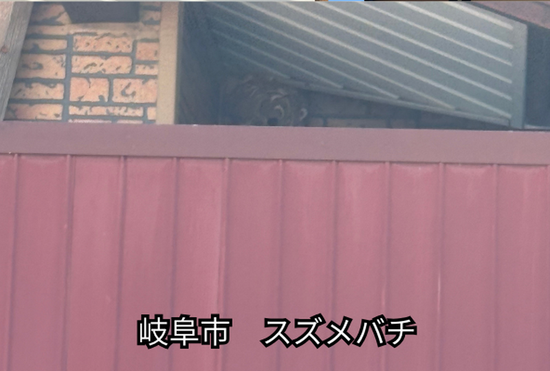 岐阜市　蜂の巣駆除