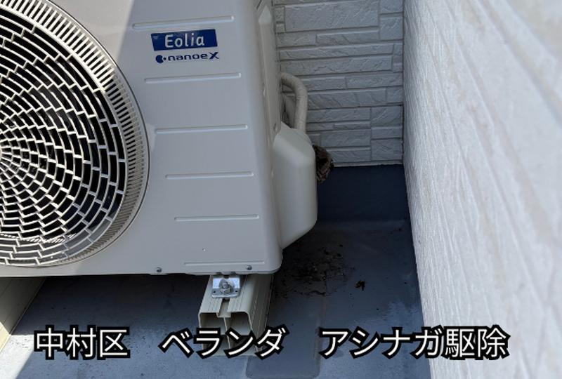 中村区　アシナガバチ駆除