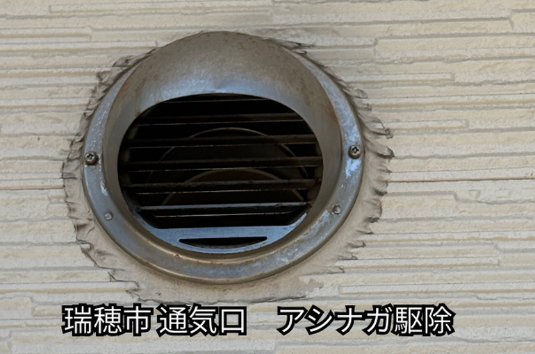 瑞穂市　アシナガバチ駆除