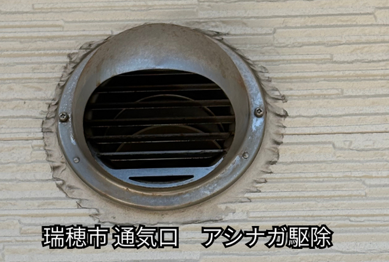 瑞穂市　アシナガバチ駆除